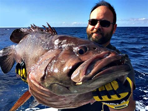 Fishing in MALLORCA: The Complete Guide.